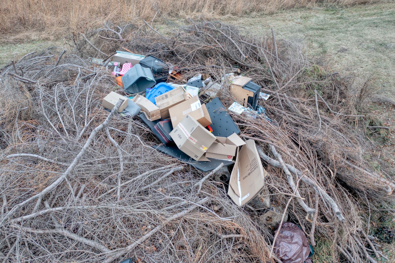 Branches and dumped material awaiting property cleanup